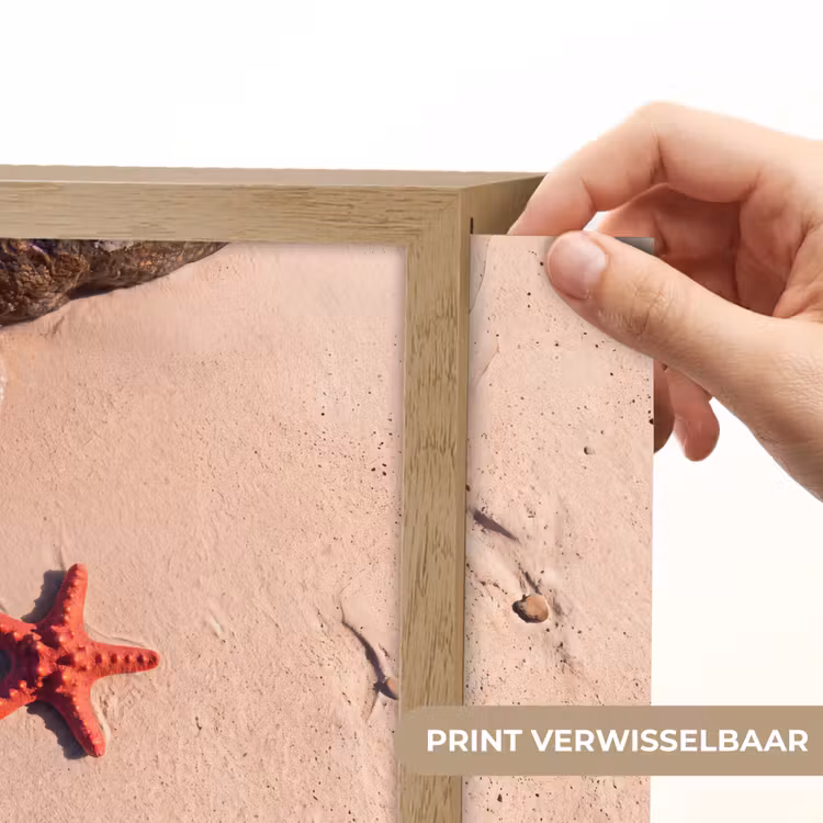 Lightbox - Wandlamp - Dieren - Strand - Zee - Natuur - Rood — 6