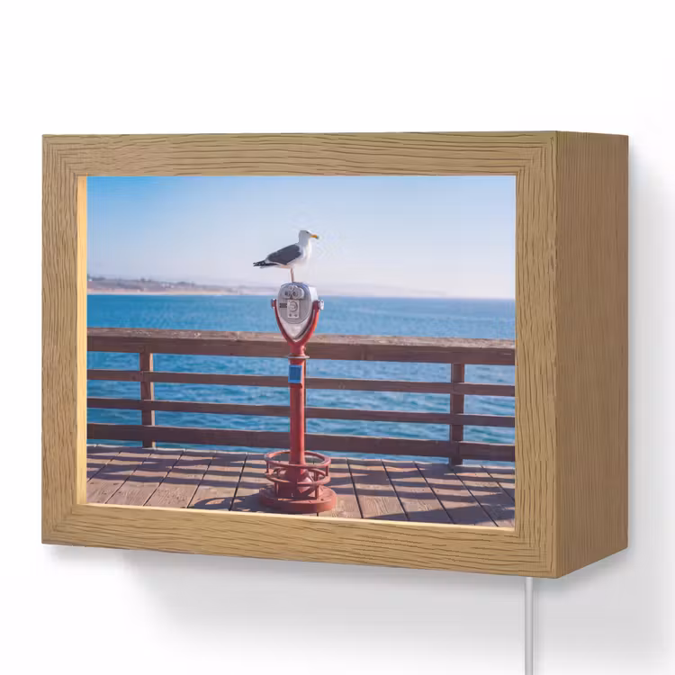 Lightbox - Wandlamp - Vogel - Verrekijker - Kust - Zee - Blauw — 1