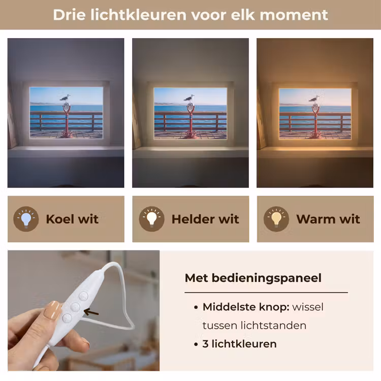 Lightbox - Wandlamp - Vogel - Verrekijker - Kust - Zee - Blauw — 7