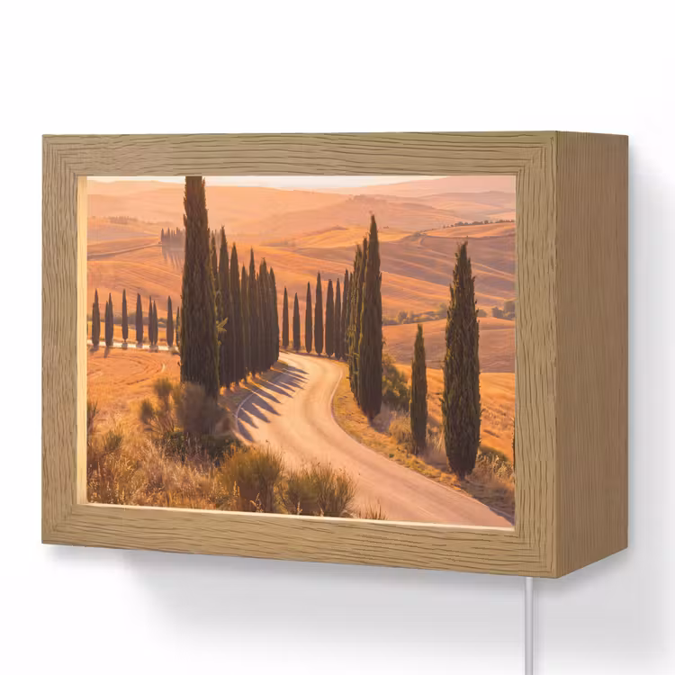 Lightbox - Wandlamp - Landschap - Weg - Bomen - Natuur - Goud — 1