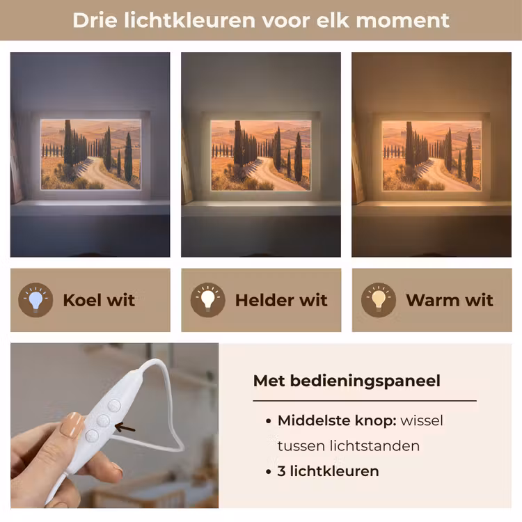 Lightbox - Wandlamp - Landschap - Weg - Bomen - Natuur - Goud — 7