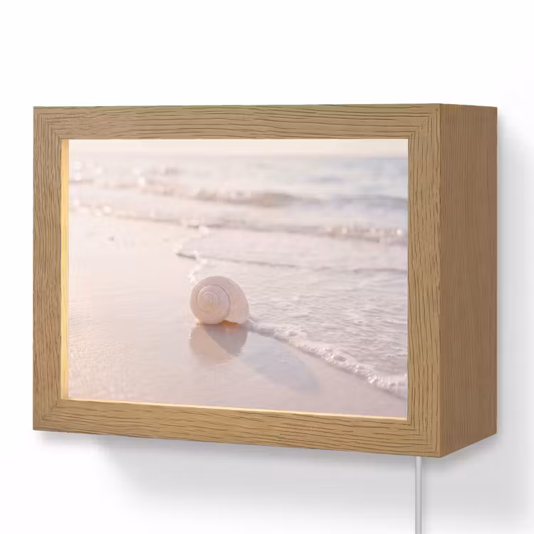 Lightbox - Wandlamp - Zeeschelp - Strand - Zee - Natuur - Beige — 1