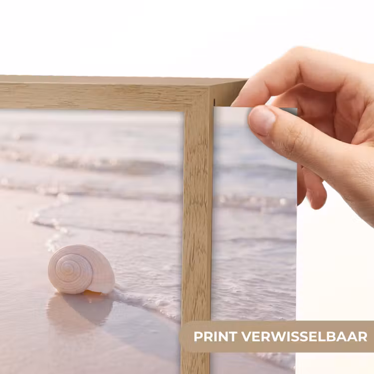 Lightbox - Wandlamp - Zeeschelp - Strand - Zee - Natuur - Beige — 6