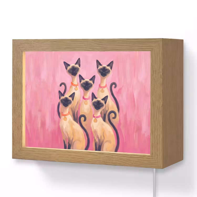Lightbox - Wandlamp - Kat - Groep - Dieren - Modern - Roze — 1