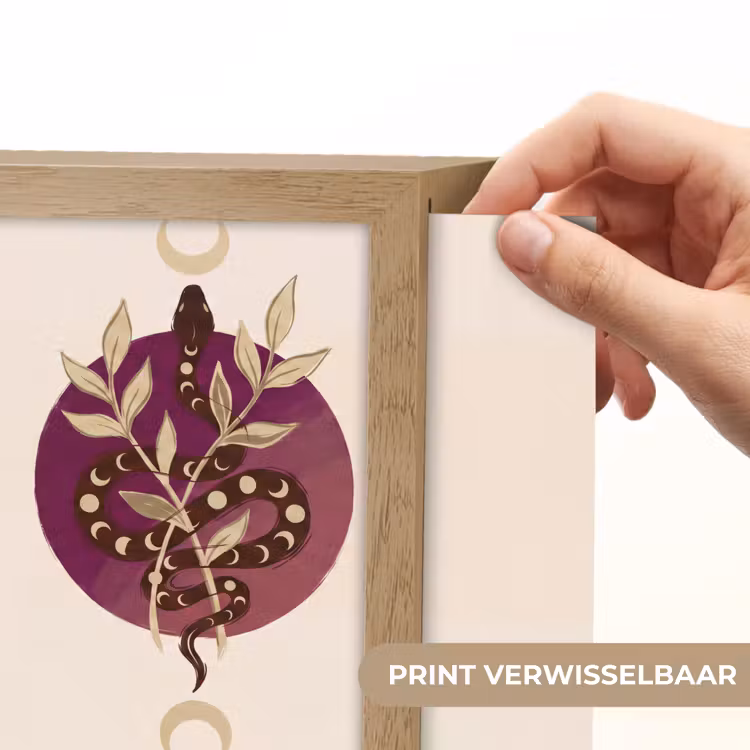 Lightbox - Wandlamp - Dieren - Slang - Maan - Mystiek - Abstract — 6