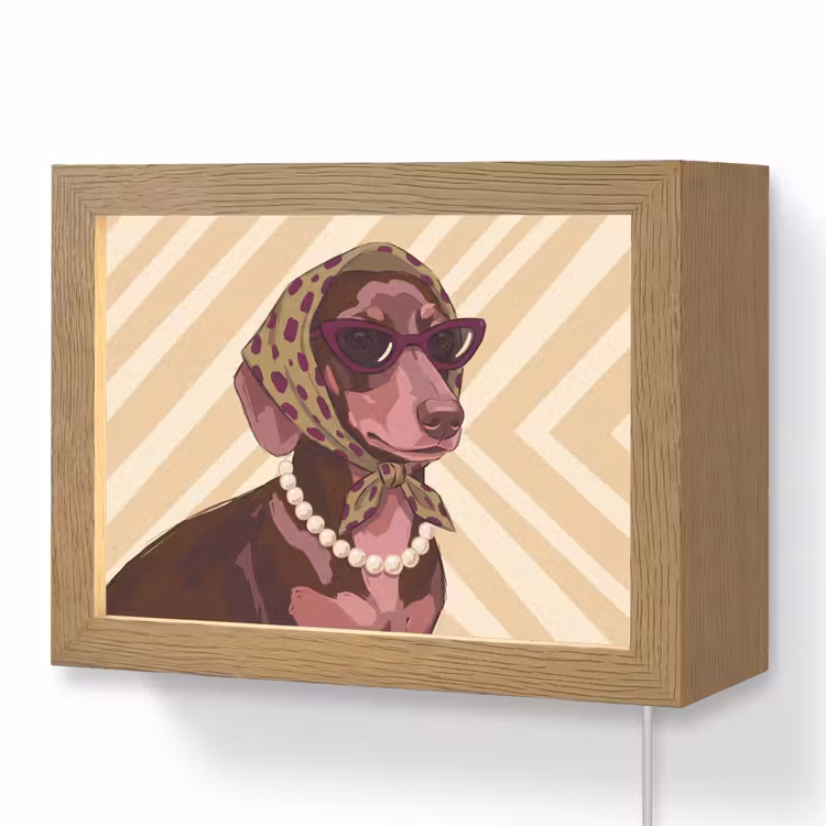 Lightbox - Wandlamp - Hond - Zonnebril - Hoofddoek - Dieren - Modern — 1