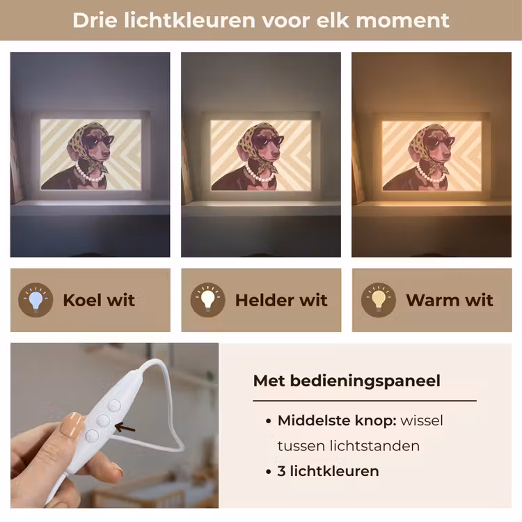Lightbox - Wandlamp - Hond - Zonnebril - Hoofddoek - Dieren - Modern — 7