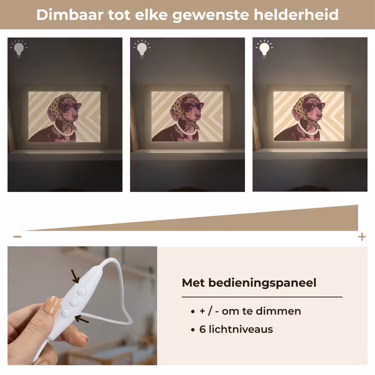 Lightbox - Wandlamp - Hond - Zonnebril - Hoofddoek - Dieren - Modern — 8