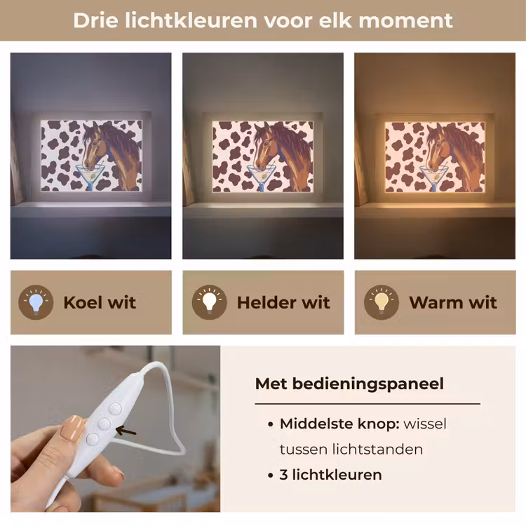 Lightbox - Wandlamp - Paard - Martini - Dieren - Abstract - Bruin — 7