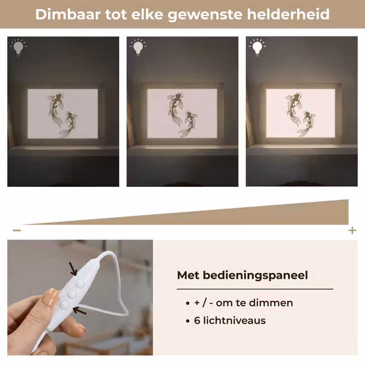 Lightbox - Wandlamp - Vis - Zwemmend - Groen - Abstract - Dieren — 8