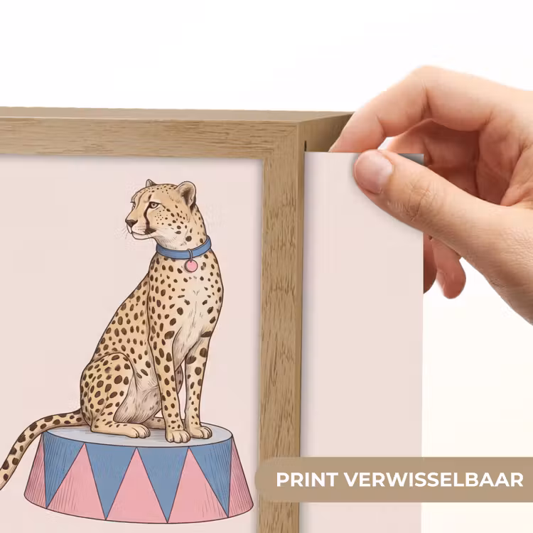 Lightbox - Wandlamp - Dieren - Circus - Illustratie - Vintage - Roze — 6