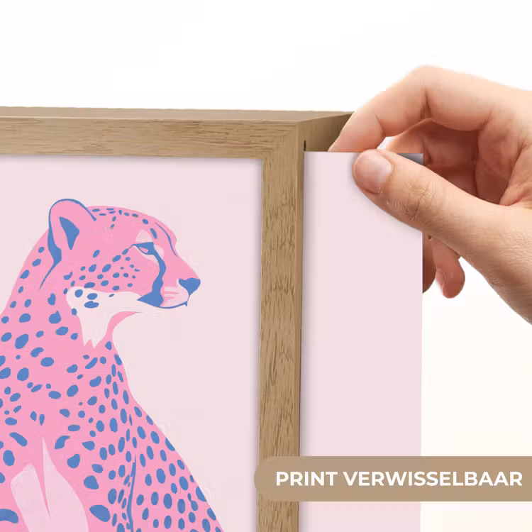 Lightbox - Wandlamp - Dieren - Profiel - Abstract - Roze - Blauw — 6