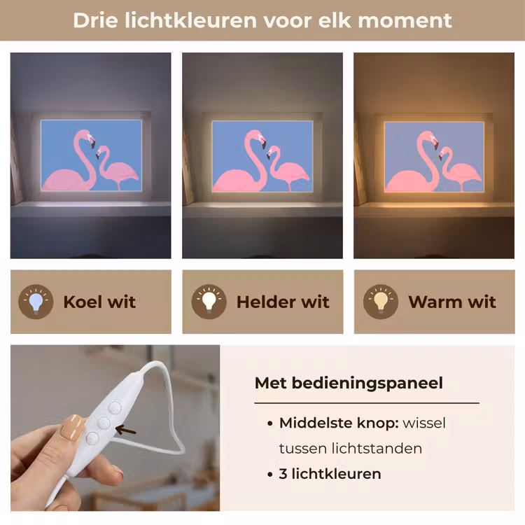 Lightbox - Wandlamp - Vogel - Paar - Dieren - Modern - Roze — 7