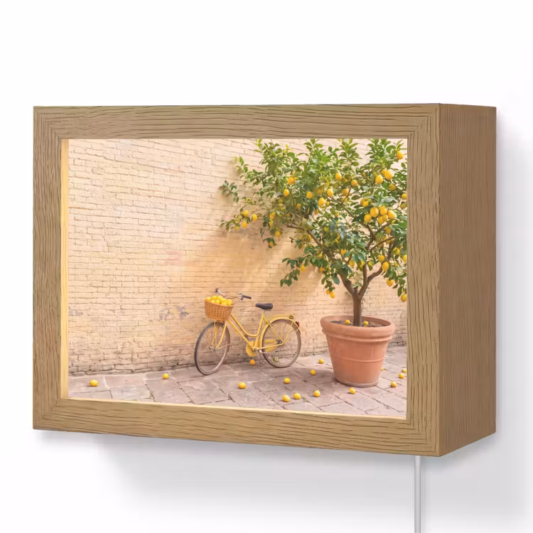 Lightbox - Wandlamp - Fiets - Mand - Eten - Geel - Zomer — 1