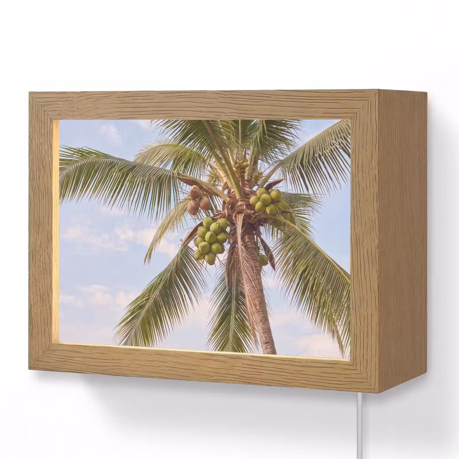 Lightbox - Wandlamp - Kokosnoot - Boom - Tropisch - Natuur - Groen — 1