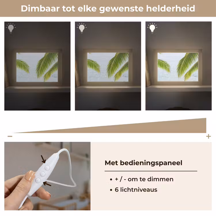 Lightbox - Wandlamp - Boom - Bladeren - Water - Tropisch - Groen — 8