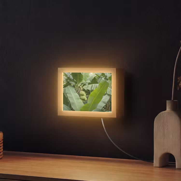 Lightbox - Wandlamp - Eten - Bananen - Plantage - Groen — 2
