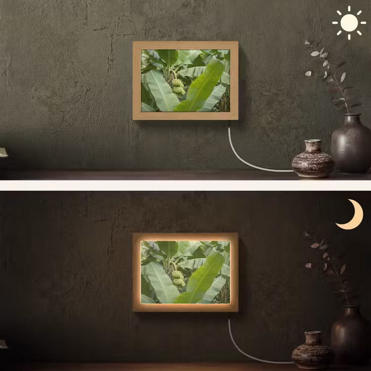 Lightbox - Wandlamp - Eten - Bananen - Plantage - Groen — 3
