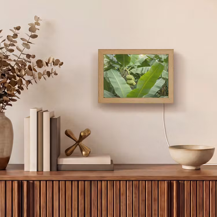 Lightbox - Wandlamp - Eten - Bananen - Plantage - Groen — 4