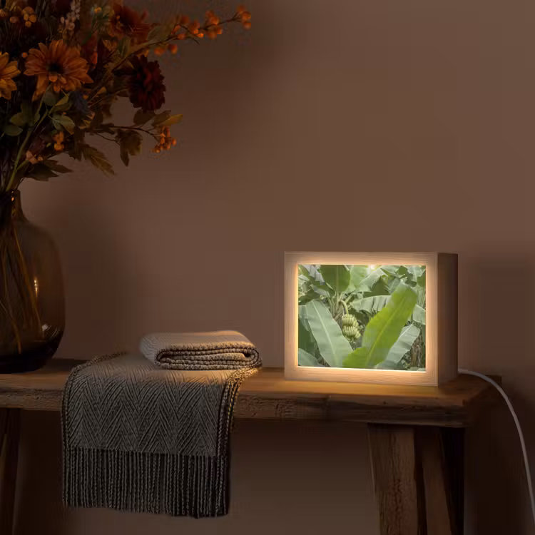 Lightbox - Wandlamp - Eten - Bananen - Plantage - Groen — 5