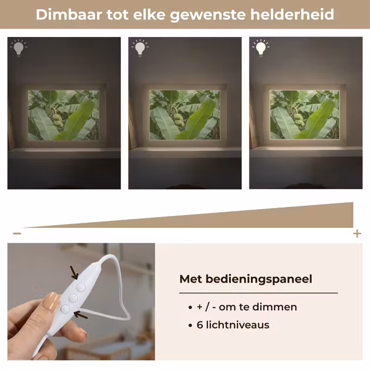 Lightbox - Wandlamp - Eten - Bananen - Plantage - Groen — 8