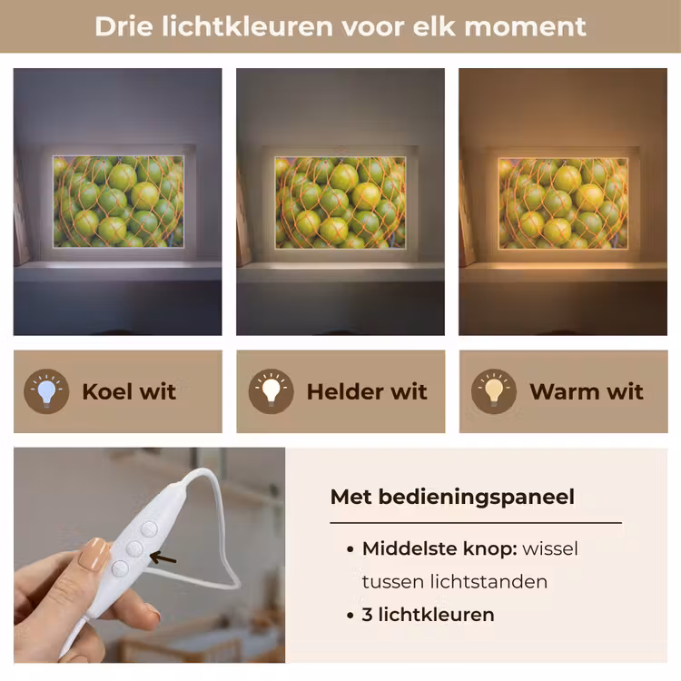 Lightbox - Wandlamp - Eten - Net - Groen - Markt — 7