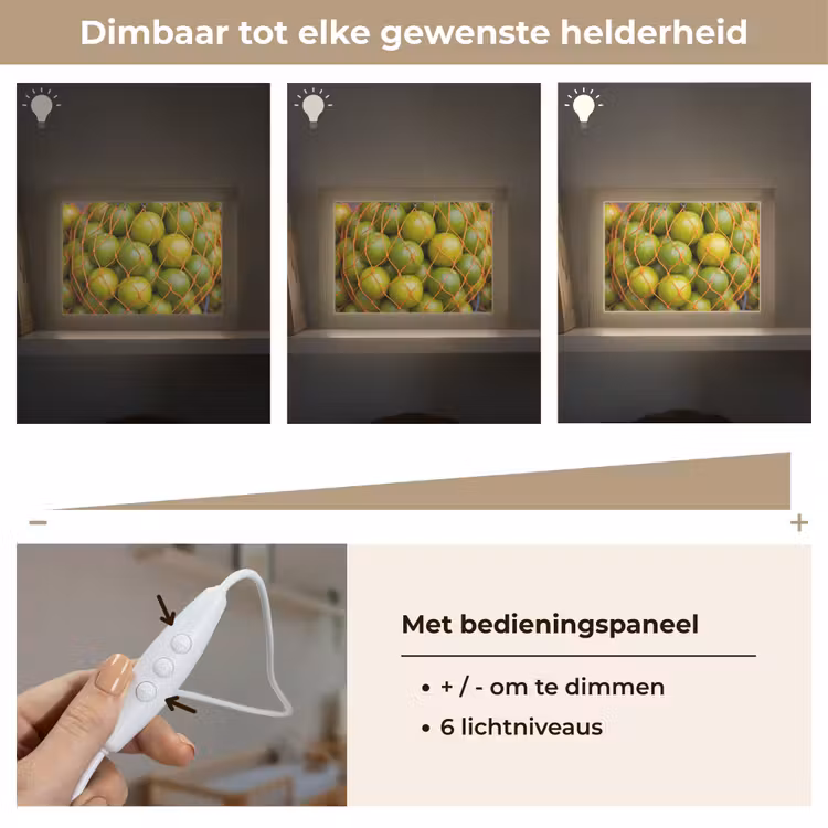 Lightbox - Wandlamp - Eten - Net - Groen - Markt — 8
