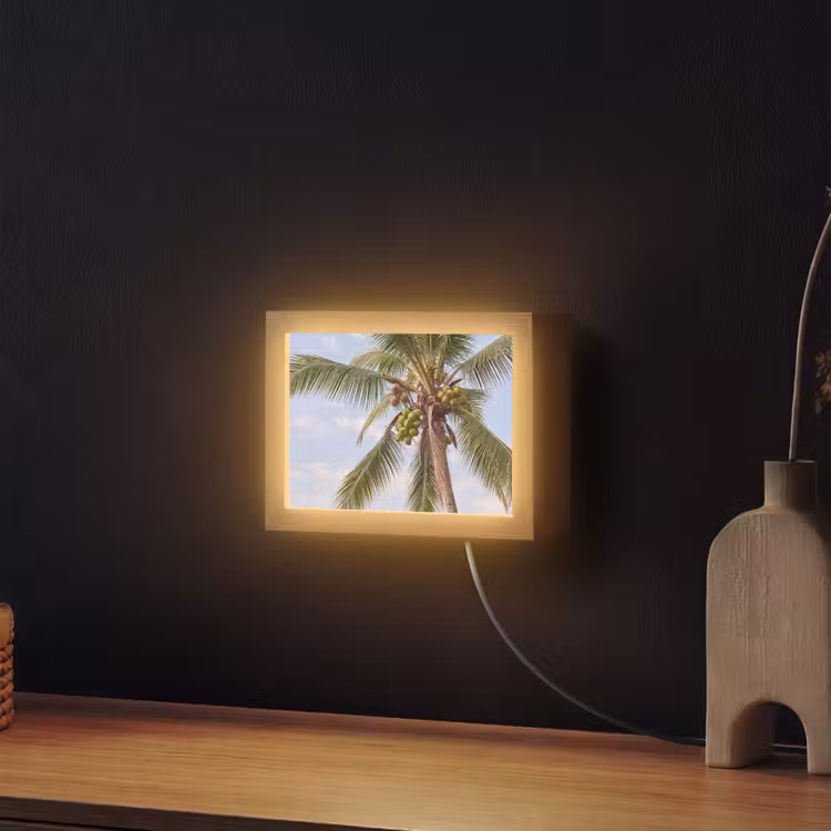 Lightbox - Wandlamp - Kokosnoot - Boom - Tropisch - Natuur - Groen — 2