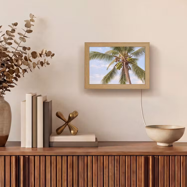 Lightbox - Wandlamp - Kokosnoot - Boom - Tropisch - Natuur - Groen — 4