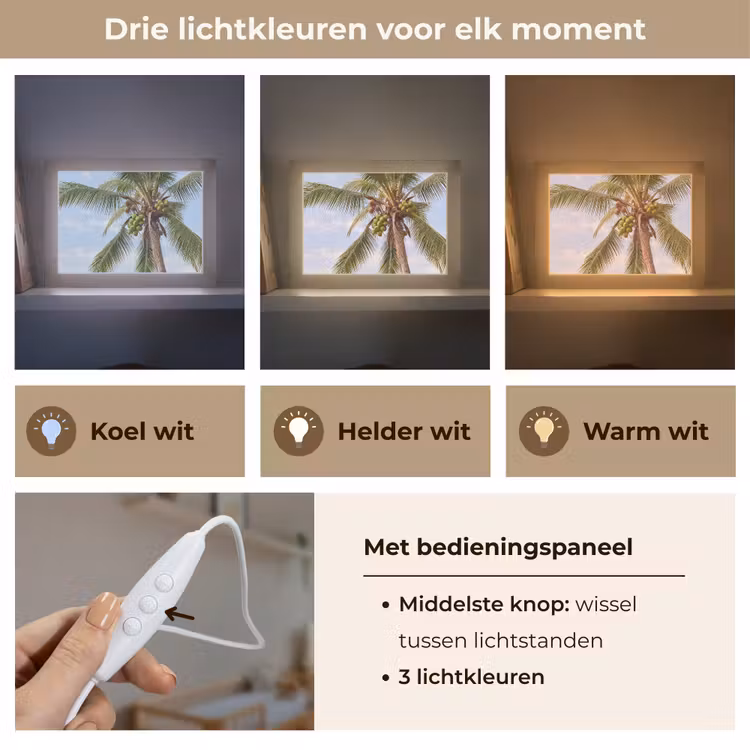 Lightbox - Wandlamp - Kokosnoot - Boom - Tropisch - Natuur - Groen — 7