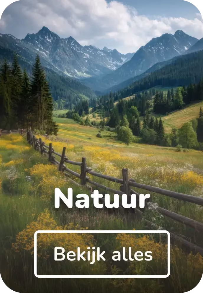Canvas schilderijen natuur
