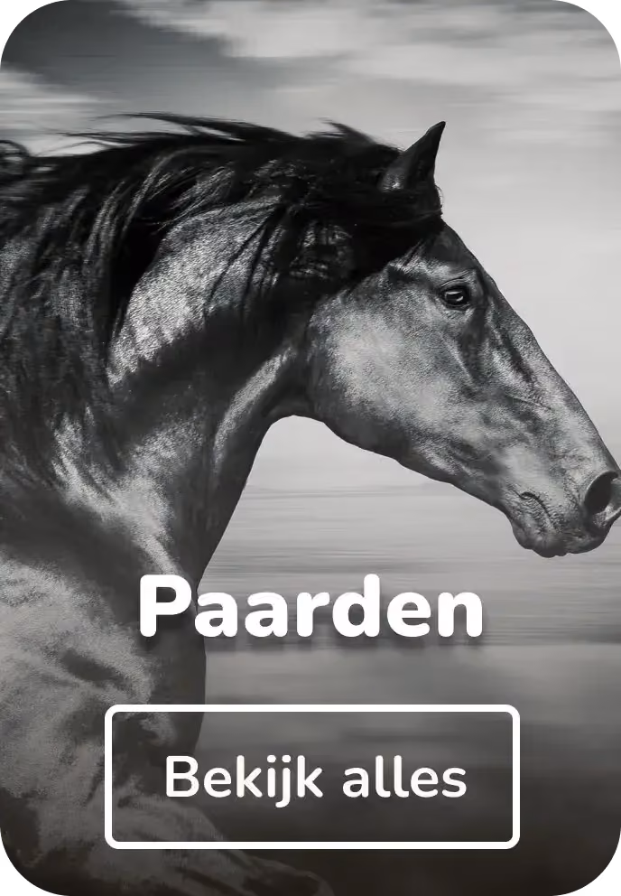 Canvas schilderijen paarden