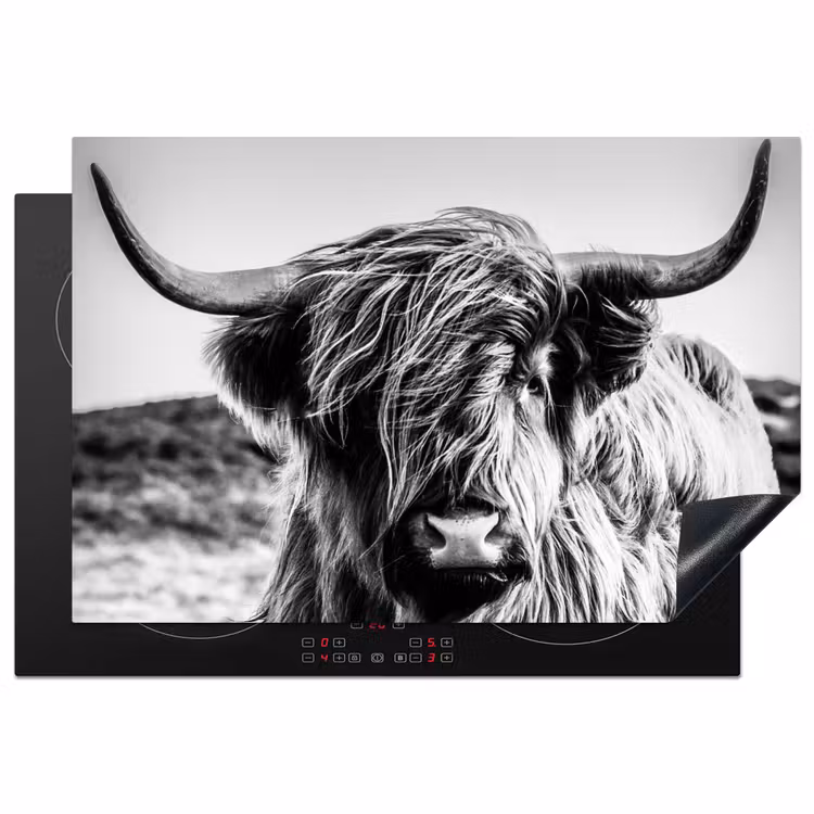 Inductie beschermer - Koe - Schotse hooglander - Zwart - Wit - Dier - Natuur - Wild