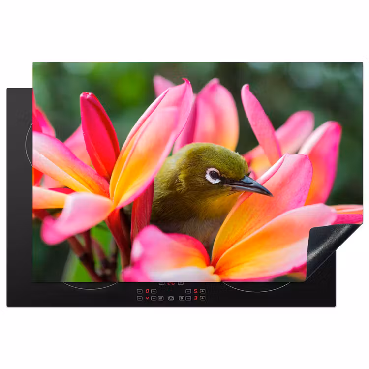 Inductie beschermer - Tropische vogel tussen roze bloem — 1