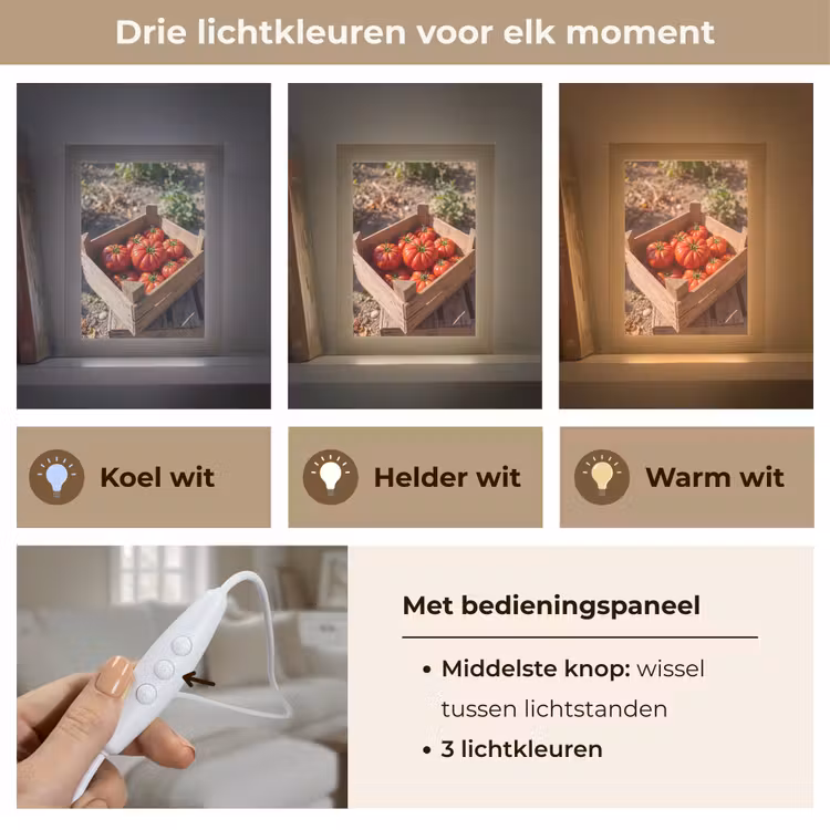 Gepersonaliseerde Lightbox - Tomaat - Houten - Kist — 6