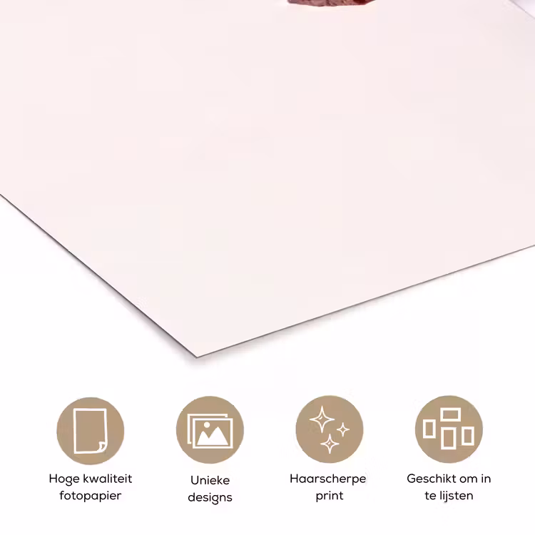 Poster - Vork - brownie - aardbei — 5