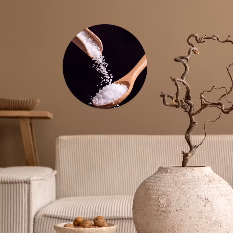Behangcirkel - Eten - Zout - Hout — 2
