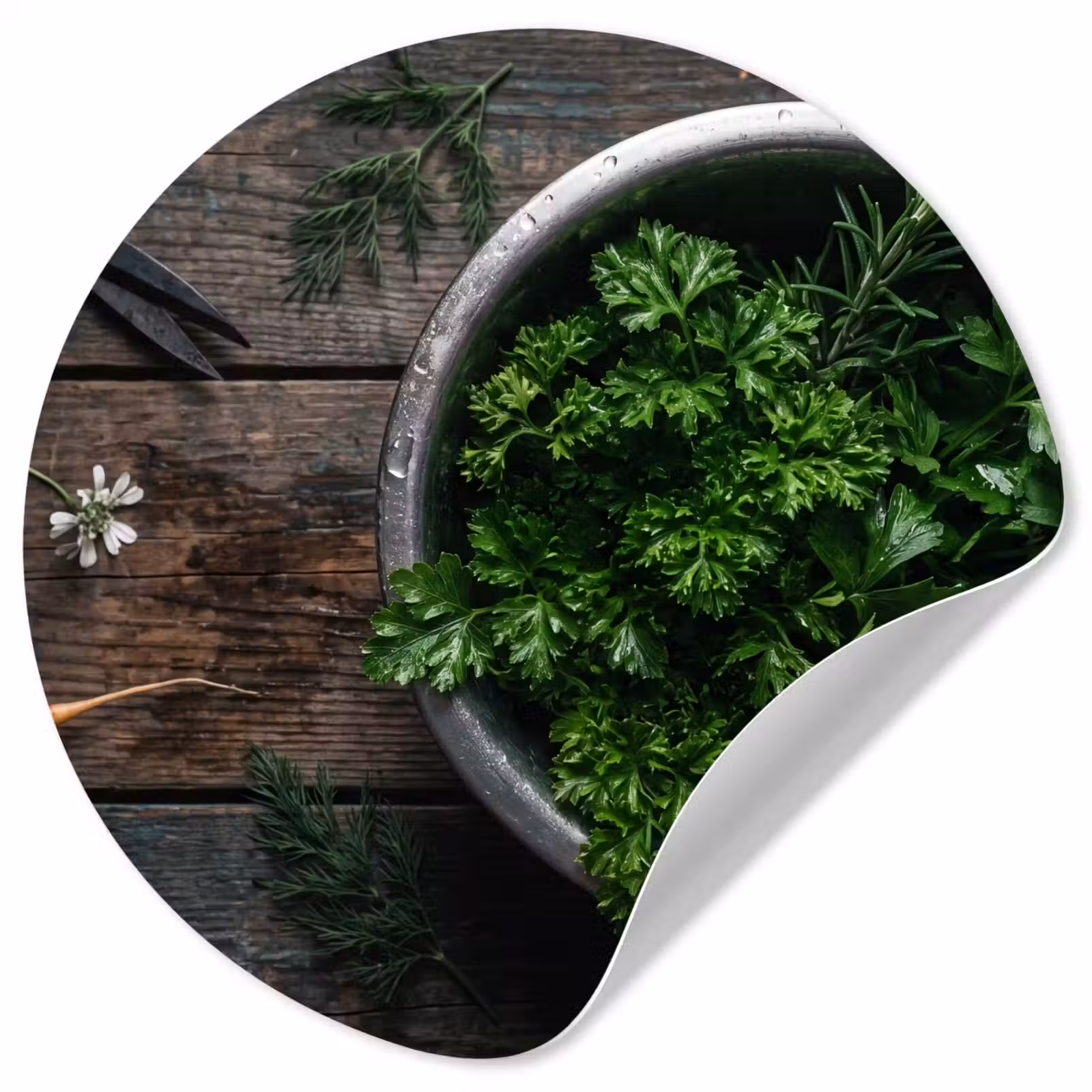 Behangcirkel - Groenten - Hout - Eten — 1