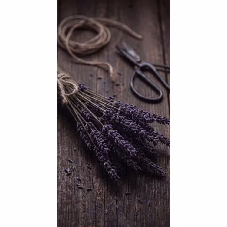 Behang - Bloemen - Rustiek - Paars — 2