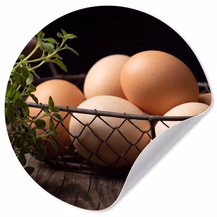Behangcirkel - Eieren - Mand - Eten — 1