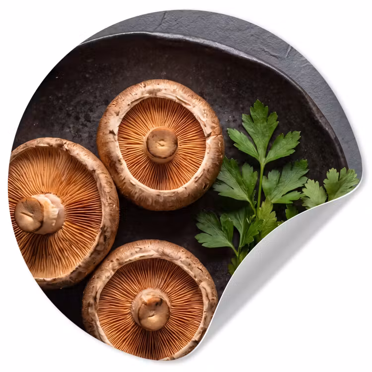 Behangcirkel - Paddestoelen - Kruiden - Eten — 1
