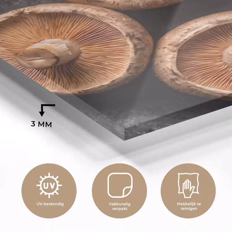 Glas schilderij - Paddestoelen - Kruiden - Eten — 3