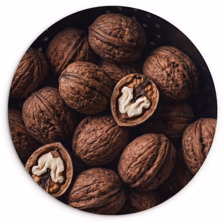 Muurcirkel - Walnoot - Eten - Donker — 1