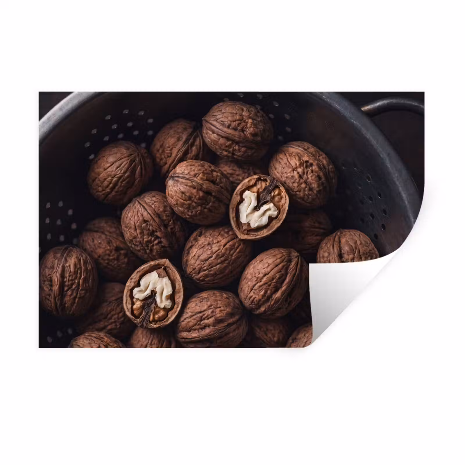 Muursticker - Walnoot - Eten - Donker — 1