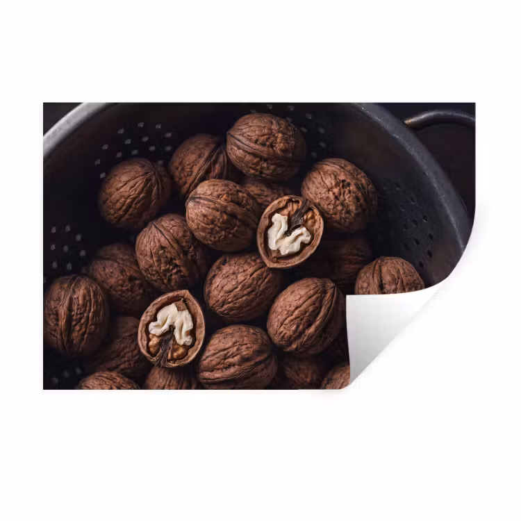Muursticker - Walnoot - Eten - Donker — 1
