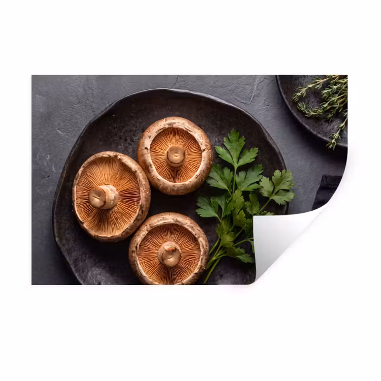 Muursticker - Paddestoelen - Kruiden - Eten — 1