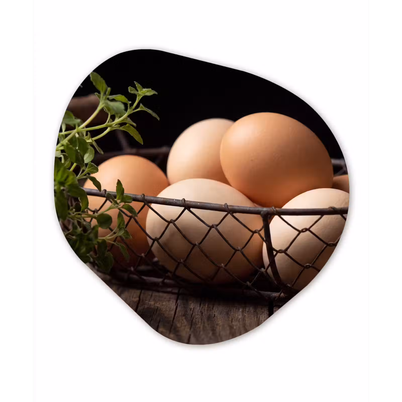 Organisch schilderij - Forex - Eieren - Mand - Eten — 1