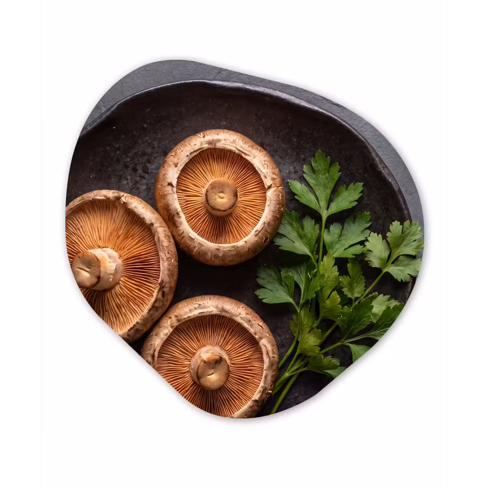 Organisch schilderij - Forex - Paddestoelen - Kruiden - Eten — 1