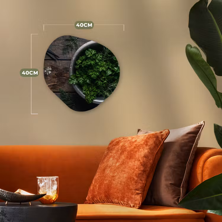 Organisch schilderij - Forex - Groenten - Hout - Eten — 4