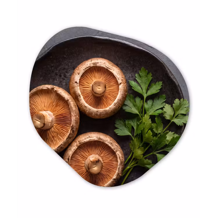 Organisch schilderij - Forex - Paddestoelen - Kruiden - Eten — 1